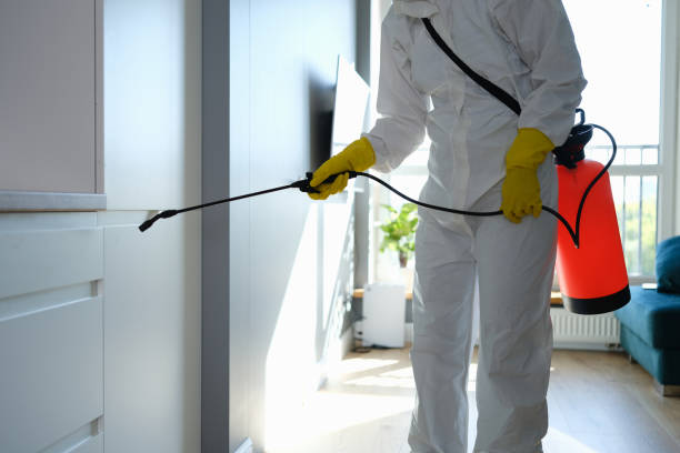 Best Emergency Mold Removal  in Anahuac, TX