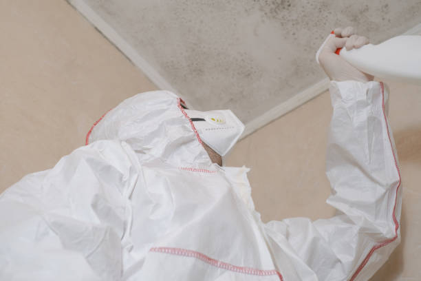 Best Mold Damage Repair  in Anahuac, TX