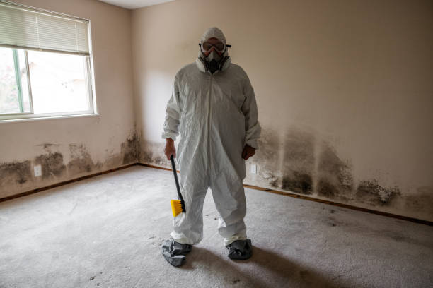 Best Attic Mold Removal  in Anahuac, TX