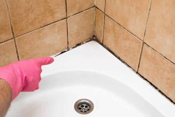 Best Toxic Mold Removal  in Anahuac, TX